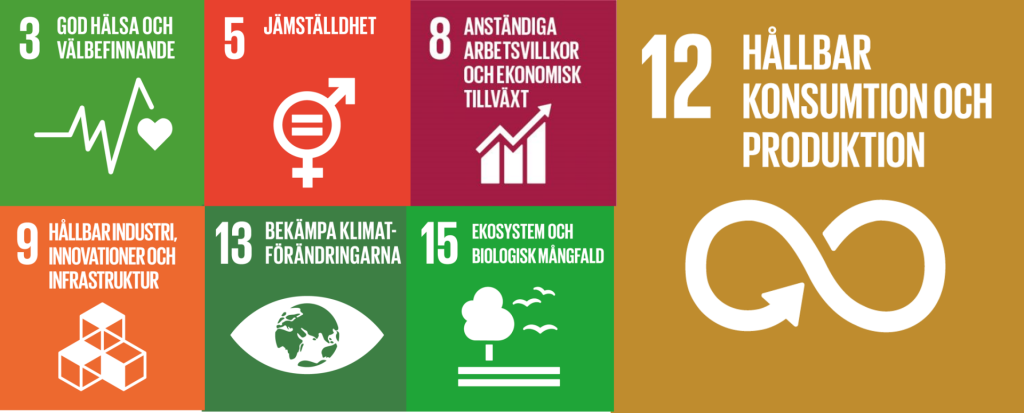 Några av FN:s globala hållbarhetsmål som estrella arbetar extra mycket med: 3 god hälsa och välbefinnande; 5 jämställdhet; 8 anständiga arbetsvillkor och ekonomisk tillväxt; 9 hållbar industri , innovationer och infrastruktur; 13 bekämpa klimatförändringar; 15 ekosystem och bilogisk mångfald; 12 hållbar konsumtion och produktion.